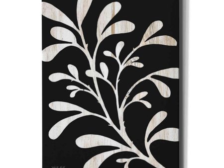 Branch on Black II  by Cindy Jacobs, Canvas Wall Art Online now