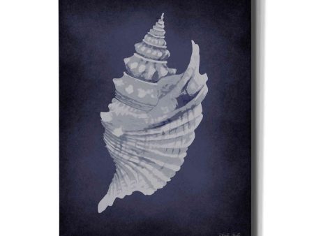 Blue Seashell I  by Cindy Jacobs, Canvas Wall Art Discount