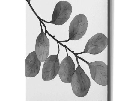 Leaves in Gray I  by Cindy Jacobs, Canvas Wall Art Hot on Sale