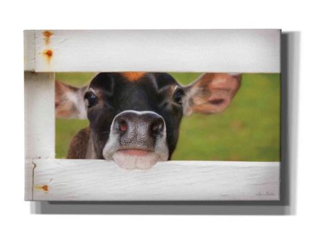 Cow at Fence  by Lori Deiter, Canvas Wall Art Cheap