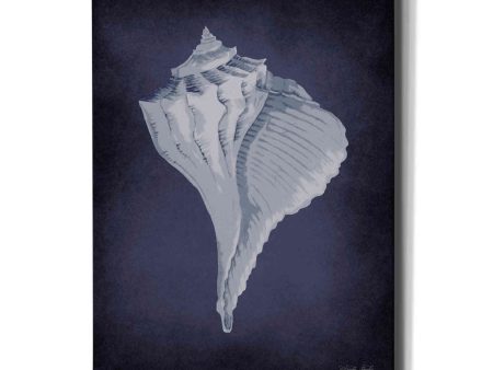 Blue Seashell II  by Cindy Jacobs, Canvas Wall Art Online Sale