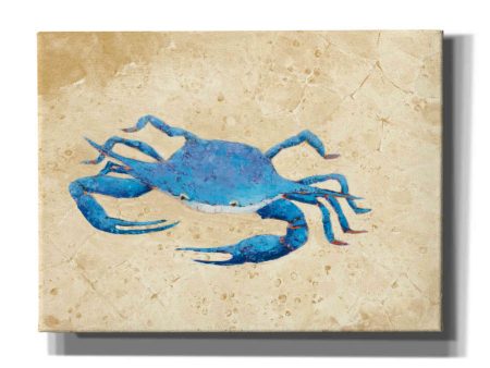 Blue Crab V Neutral Crop  by Phyllis Adams, Canvas Wall Art For Cheap