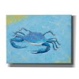 Blue Crab V  by Phyllis Adams, Canvas Wall Art For Discount