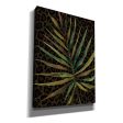 Areca Leaf  by Cindy Jacobs, Canvas Wall Art on Sale