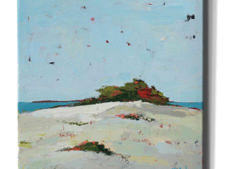 Fall Dune  by Phyllis Adams, Canvas Wall Art Sale