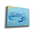 Blue Crab V  by Phyllis Adams, Canvas Wall Art For Discount