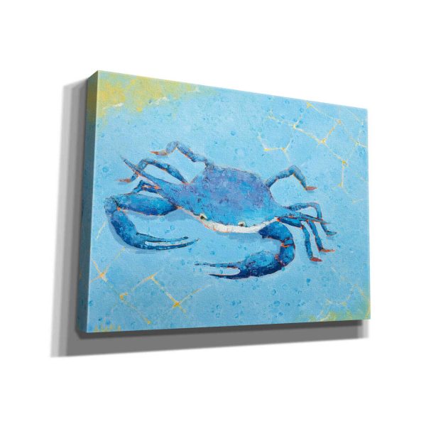 Blue Crab V  by Phyllis Adams, Canvas Wall Art For Discount