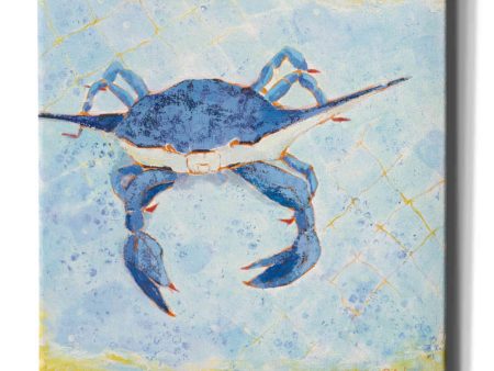 Blue Crab VI  by Phyllis Adams, Canvas Wall Art Online Hot Sale