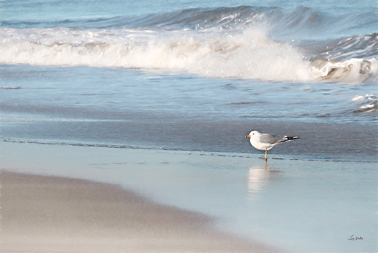 LD3417 - Seagull in the Sand - 18x12 Discount