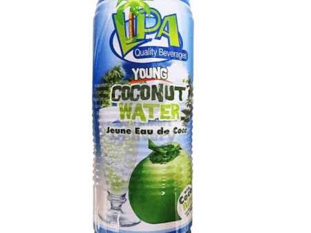 Lipa Young Coconut 520ml (24pcs) distributed by Sunrise on Sale