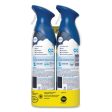 Air, Ocean, 17.6 Oz Aerosol Spray, 2 pack, 6 Packs carton For Sale