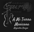 A Mi Tierra Mexicana Sale